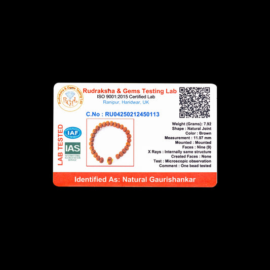Gauri Shankar Rudraksha Bracelet | Rudraksh Hand Band/ Ruthratcham Bracelet for Spiritual Purpose - Rudraksha Mala, Pendant, Bracelet