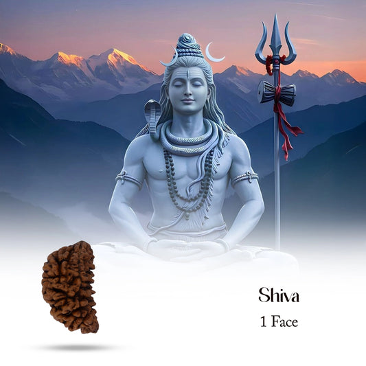 1 Mukhi Rudraksha Bead | Cashew Nut Shape 1 Mugam Bead/ Rudraksh Beads for Men & Women - Rudraksha Mala, Pendant, Bracelet