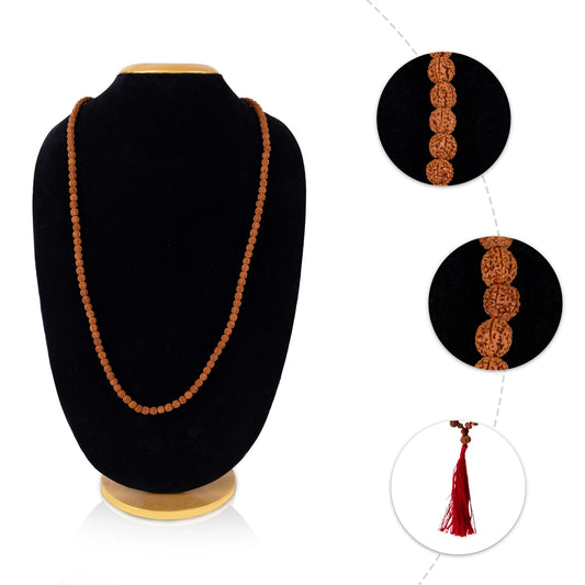 Rudraksha Siddha Mala - 25 Inches | 1 to 14 Face / Ruthratcham Malai / Rudraksha Mala Beads for Meditation - Rudraksha Mala, Pendant, Bracelet