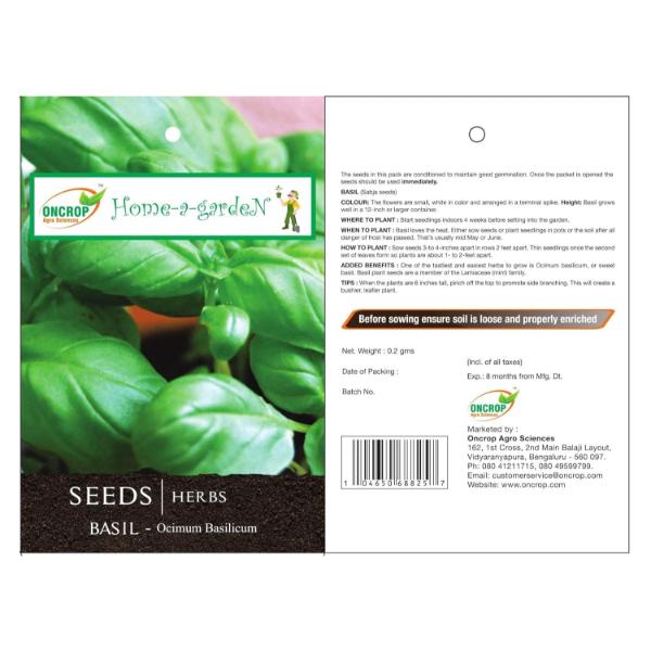 Basil - Gardening | Herbs | Ocimum Basilicum | Sabja Gardening