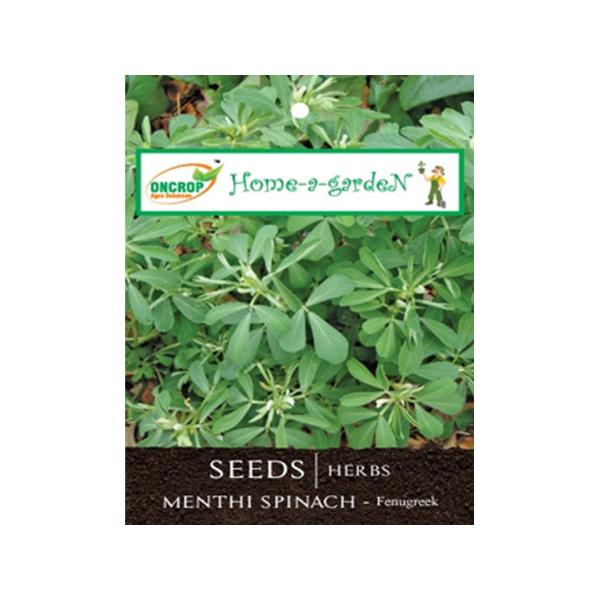 Menthi Spinach Gardening | Herbs | Fenugreek