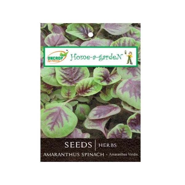 Amaranthus Spinach Gardening | Herbs | Amaranthus Spinach | Amaranthus Viridis