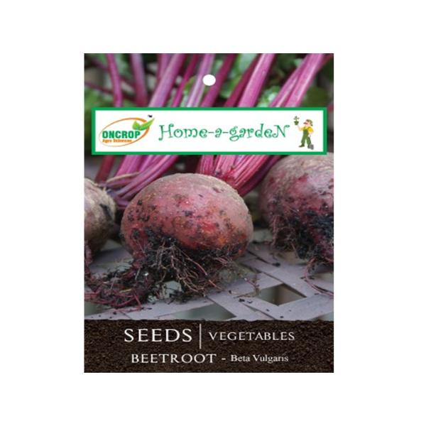 Beetroot Gardening | Vegetables | Beta Vulgans | Beta Vulgaris