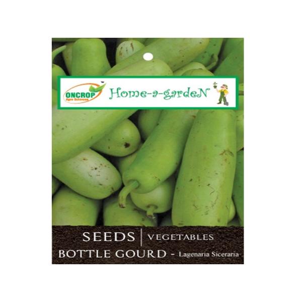 Bottle Gourd Gardening | Vegetables | Lagenaria Siceraria | White Flowered Gourd