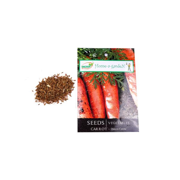 Carrot Gardening | Vegetables | Daucus Carota | Sativus