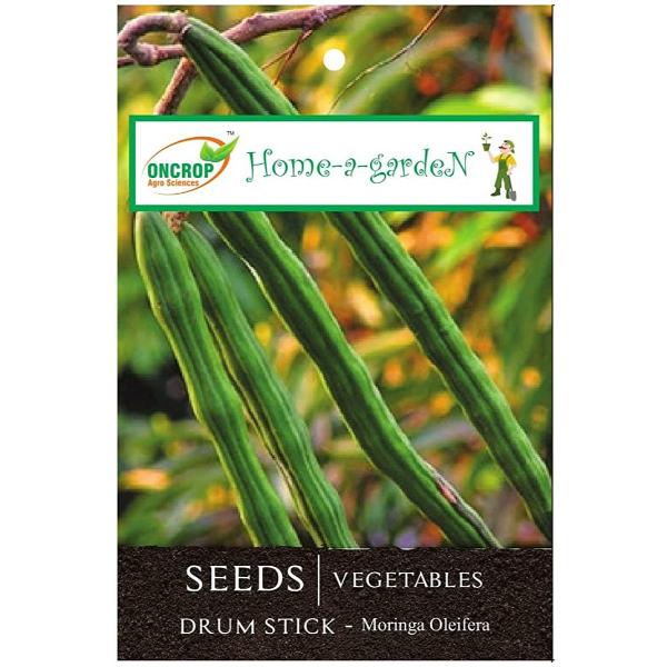 Drum Stick Gardening | Vegetables | Moringa Oleifera