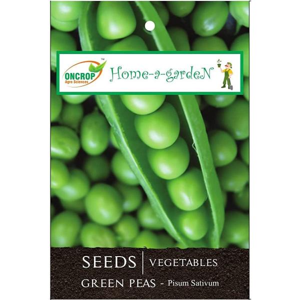 Green Peas Gardening | Vegetables | Pisum Sativum