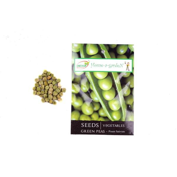 Green Peas Gardening | Vegetables | Pisum Sativum