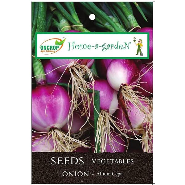 Onion Gardening | Vegetables | Allium Cepa | Scallion
