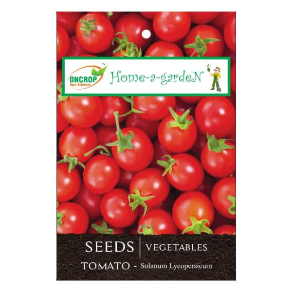 Tomoto Gardening | Vegetables | Solanum Lycoperisicum | Red Fruit Of Solanum Lycopersicum