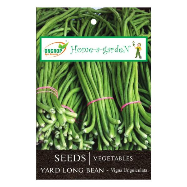 Yard Long Bean Gardening | Vegetables | Vigna Unguiculata | Chinese Long Bean