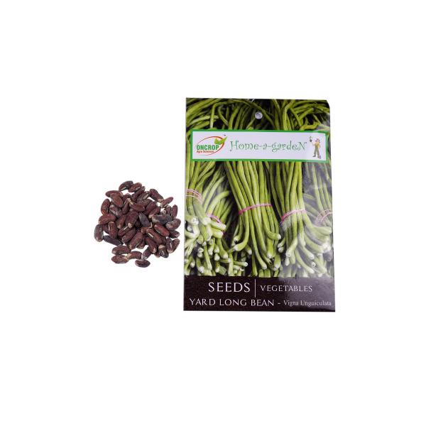Yard Long Bean Gardening | Vegetables | Vigna Unguiculata | Chinese Long Bean