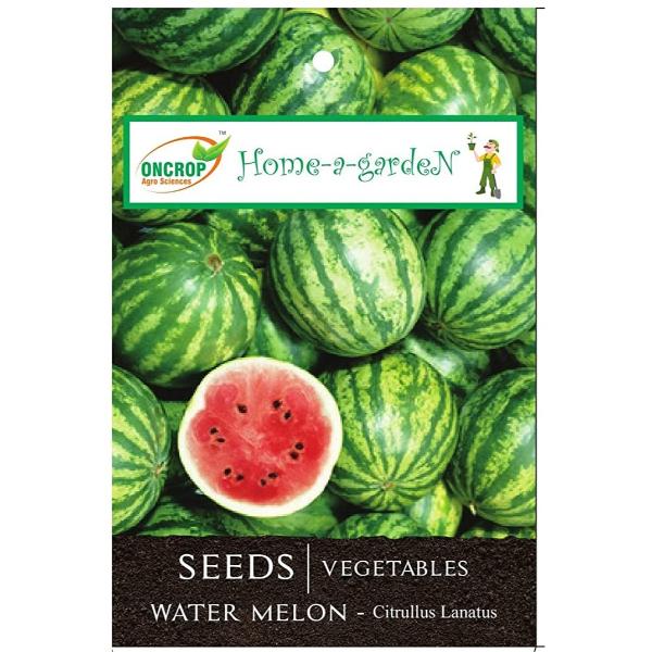 Water Melon Gardening | Vegetables | Citrullus Lanatus