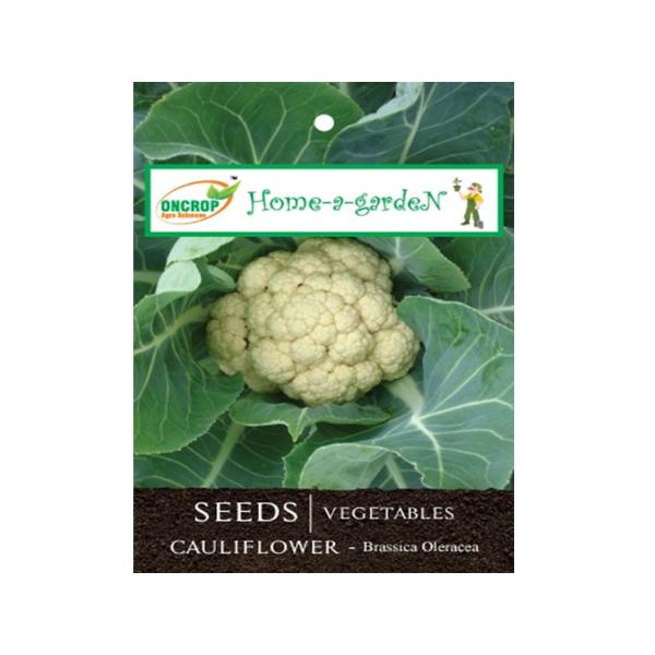 Cauliflower Gardening | Vegetables | Brassica Oleracea | Brassicaceae