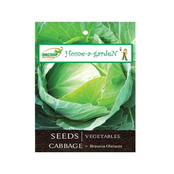 Cabbage Gardening | Vegetables | Brassica Oleracea | Cole Crops