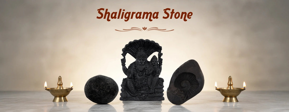 The Spritiual Energy of Shaligrama Stone: Garuda Mahalakshmi Surya Narayana Murti