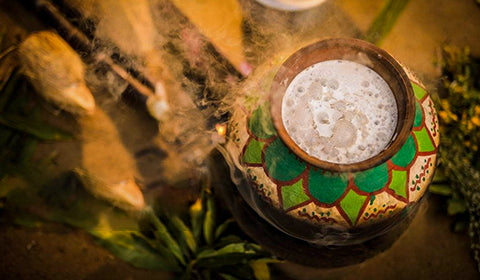 Pongal Festival