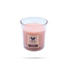 Musk Taper Candle Jar - 110 Gms | Iris Home Fragrances/ Iris Room Fragrance/ Shot Glass Candle Jar for Home - Candles