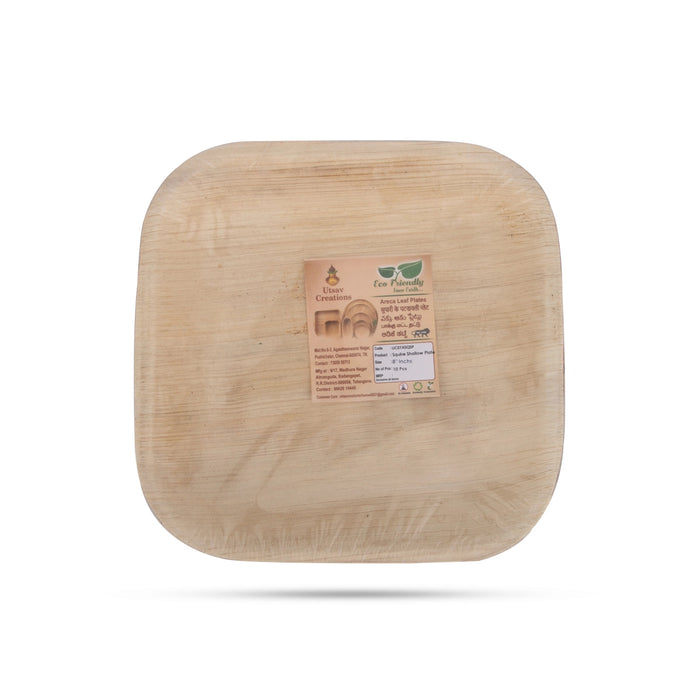 Areca Leaf Plate - 8 Inches | 10 Pcs / Square Shallow Shape Palm Leaf Plate / Disposable Plate for Temple