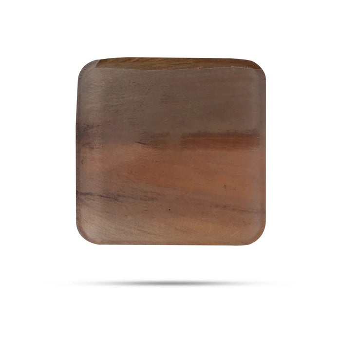 Areca Leaf Plate - 10 Pcs Set - Square Shallow - 9x9 Inch