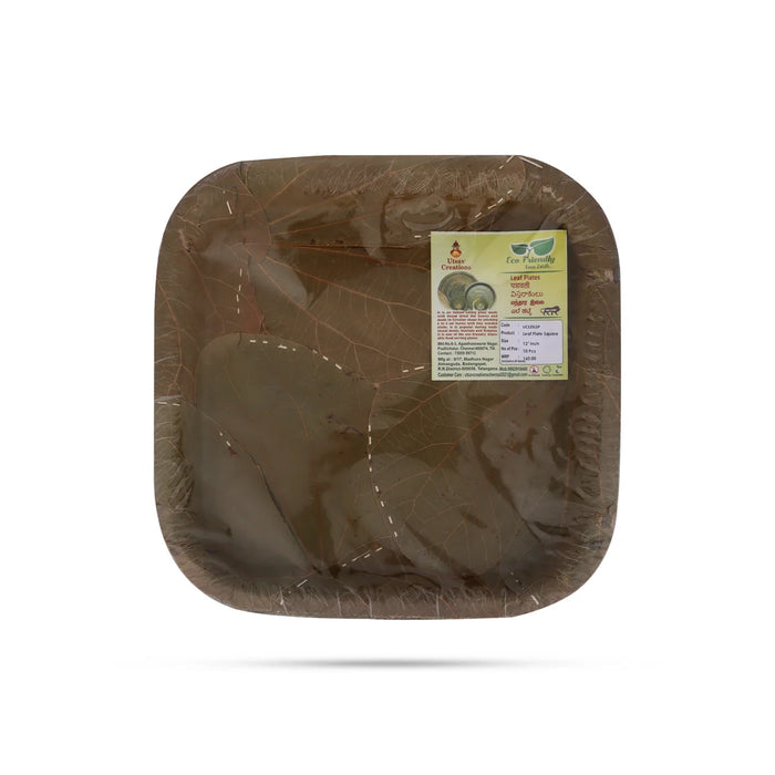 Leaf Plate - 10 Pcs Set - Square - 12x12 Inch - Eco Friendly Plates & Cups