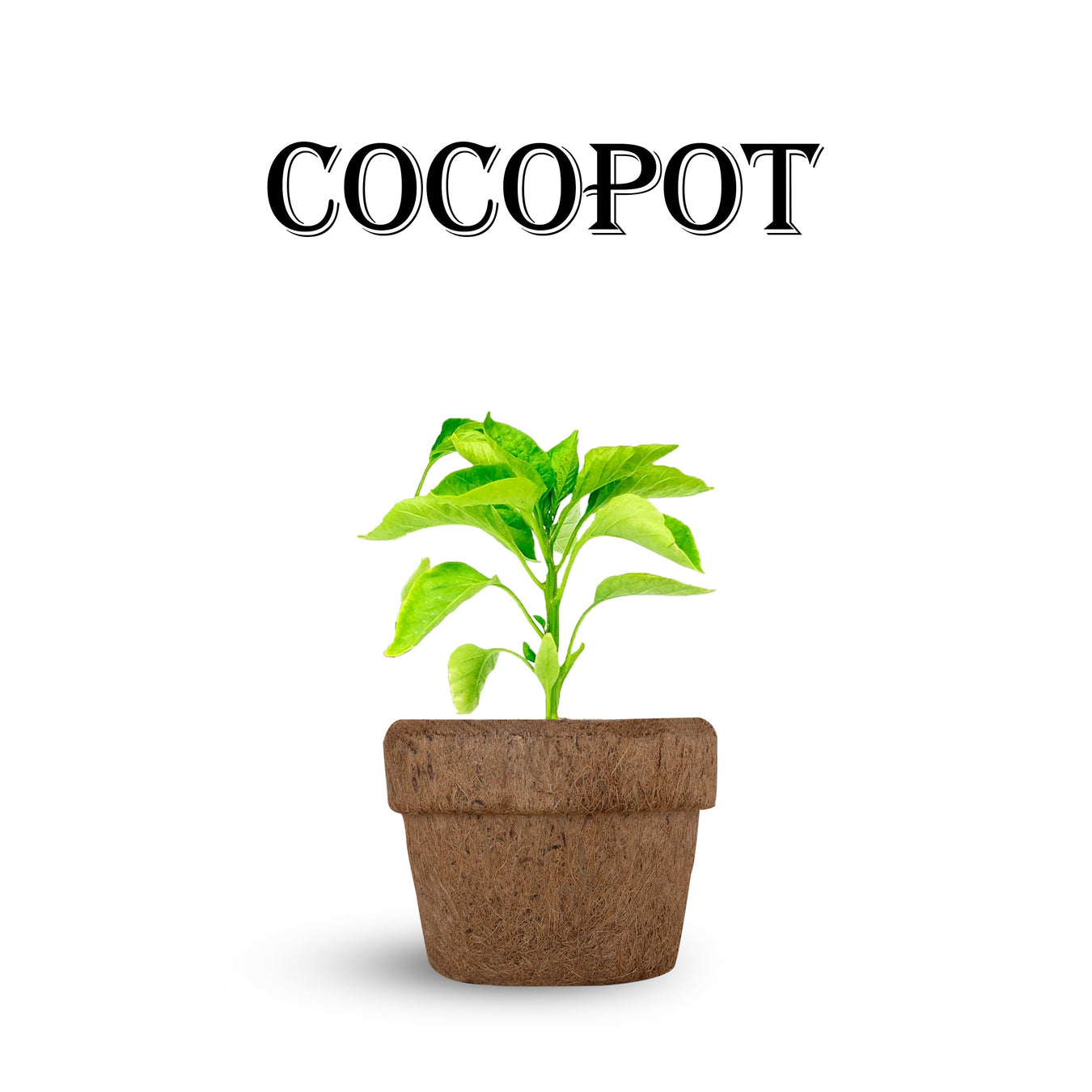 World Earth Day Special Collection