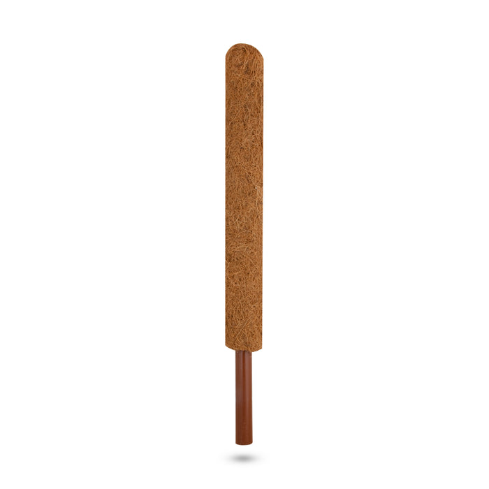 Coco Pole  - 2 Feet |  Coco Peat/ Coir Stick/ Cocopeat for Plants