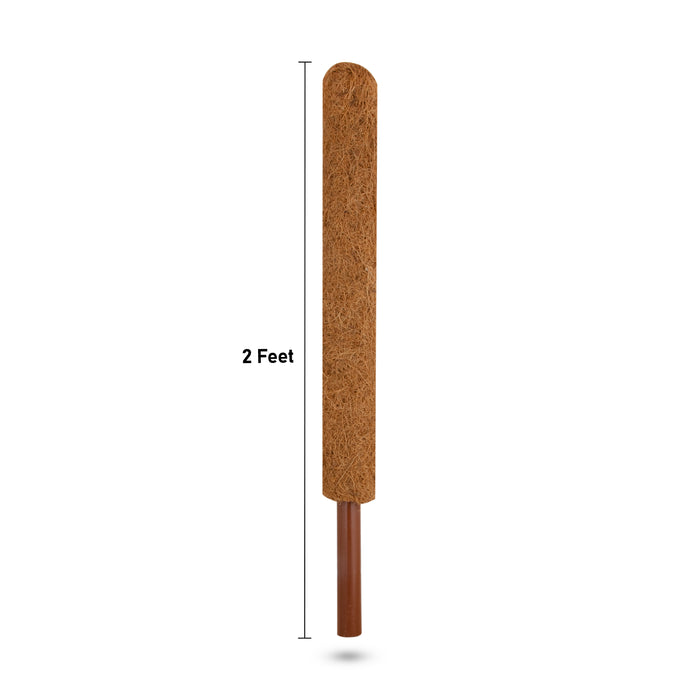 Coco Pole  - 2 Feet |  Coco Peat/ Coir Stick/ Cocopeat for Plants