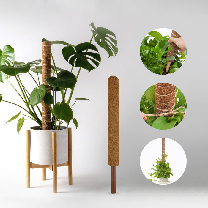 Coco Pole  - 2 Feet |  Coco Peat/ Coir Stick/ Cocopeat for Plants