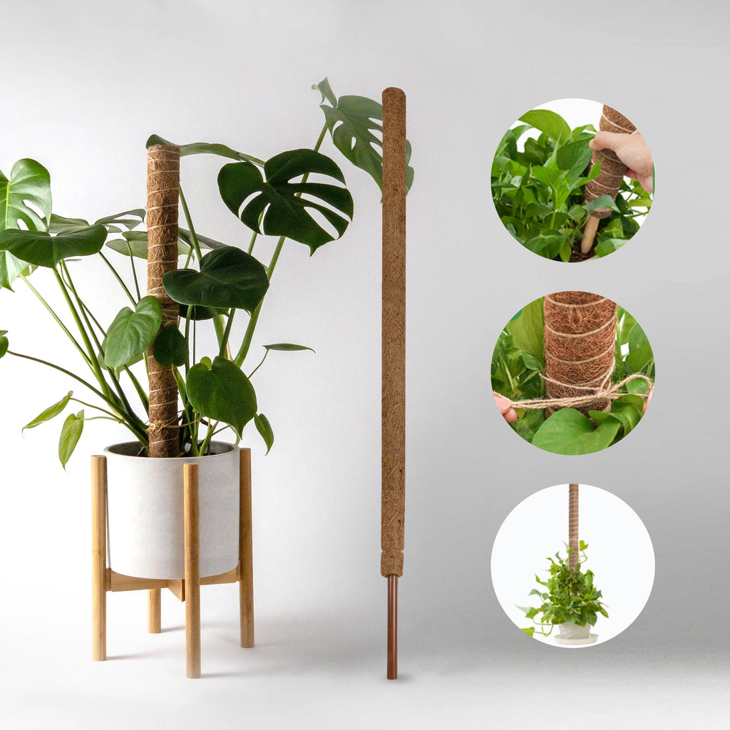 Coco Pole  - 3 Feet |  Coco Peat/ Coir Stick/ Cocopeat for Plants