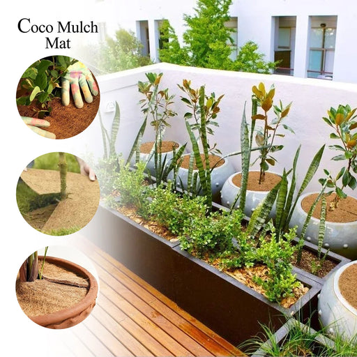 Coir Mulch - 10 Pcs Set - 6 Inches | Coconut Mulch/ Mulch Mat for Garden - Gardening