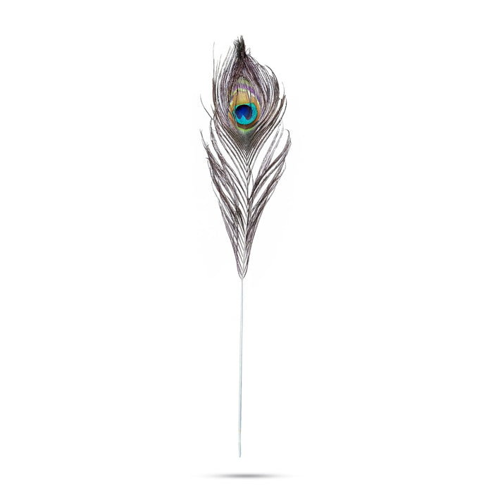 Peacock Feather - 36 Inches | Peacock Kalangi / Peacock eye feather / Mor Pankh for Pooja - Deity Accessories
