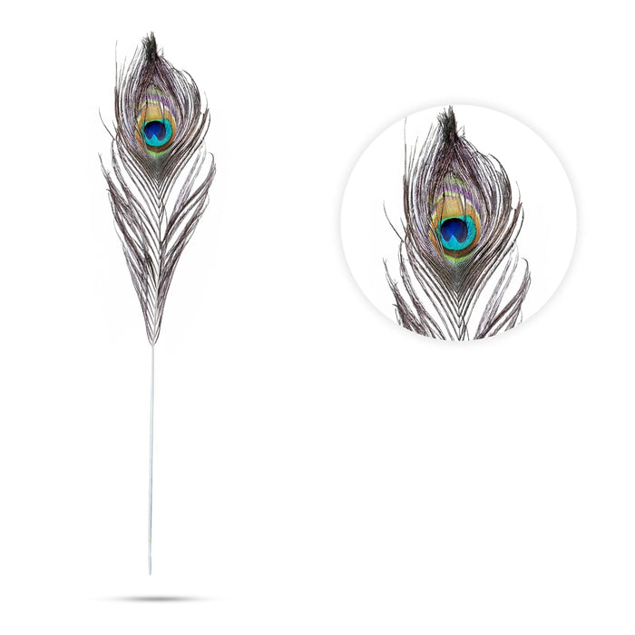 Peacock Feather - 36 Inches | Peacock Kalangi / Peacock eye feather / Mor Pankh for Pooja - Deity Accessories