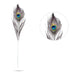 Peacock Feather - 36 Inches | Peacock Kalangi / Peacock eye feather / Mor Pankh for Pooja - Deity Accessories
