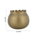 T Light Candle - 3 x 3 Inches | Lotus Shape Tea Light Candle/ Tea Lights for Home Decoration - Candles