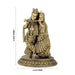 Radha Krishna Idol - 6 x 4 Inches | Brass Idol/ Radha Krishna Murti for Pooja/ 460 Gms Approx - Brass Murties
