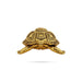 Tortoise Statue - 0.5 X 2 Inches | Antique Brass Idol/ Tortoise Idol For Good Luck And Stability - Table Stand Accessories