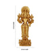 Suryan With 3 Face - 7.5 x 2.5 Inches | Panchaloha Idol / Surya Bhagvan Statue / Suryan idol for Pooja - Panchaloha Murties