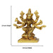 Varahi Amman Statue - 3.5 Inches | Varahi Idol/ Antique Brass Statue/ Varahi 8 Hands Idol for Pooja - Brass Murties