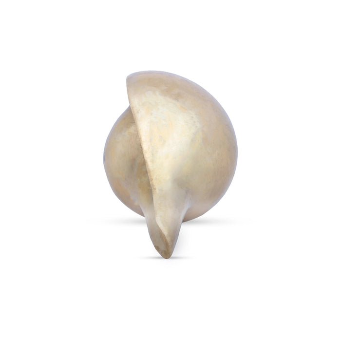 Blowing Shankh - 3 x 8 Inches | Antique Brass Conch/ Shankha for Pooja/ 1.520 Kgs Approx - Pooja Shankh