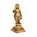 Dasavatharam Set - 9 x 5 Inches | Antique Brass Idol / Dasavatar Statue / Vishnu Avatar for Pooja - Brass Murties