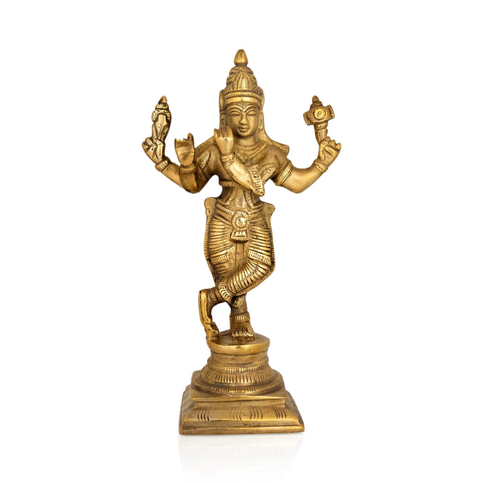 Dasavatharam Set - 9 x 5 Inches | Antique Brass Idol / Dasavatar Statue / Vishnu Avatar for Pooja - Brass Murties