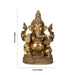 Ganesha Murti - 19 x 12 Inches | Antique Brass Idol / Vinayakar Statue / Ganapathi Sculpture For Home & Pooja - Brass Murties