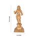 Manikkavacakar Murti - 10 x 4 Inches | panchaloha Idol / manickavasagar Statue for Pooja Room - Panchaloha Murties