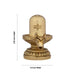 Shiv Ling Murti With Nandi Face Avudaiyar - 3.25 x 3.5 Inches | Antique Brass Shiva Lingam Statue for Pooja - Brass Murties