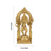Narasimmar 8 Hand Standing With Arch On Base - 12 x 5.5 Inches | Bronze Statue/ Laxmi Narasimha Idol for Pooja - Fibre Murties