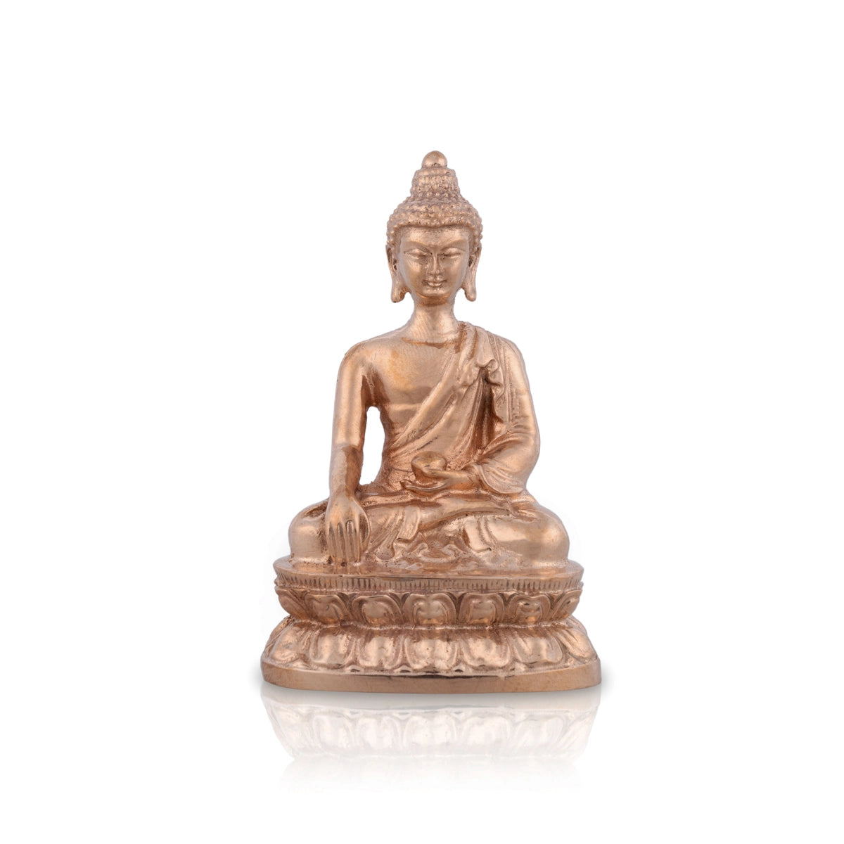 Buddha Purnima Special Collection