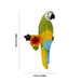 Parrot Statue Sitting On Tree Wall Hanging-11.25 X 6.75 Inch | Resin Parrot Figurine/Parrot Sculpture For Home - Wall Hanging