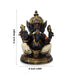 Ganesh Statue - 11 x 11 Inches | Resin Statue/ Black Vinayaka Idol / Ganesh Idol for Pooja - Fibre Murties