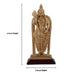 Murugan Statue - 6 x 3 Inches | Murugan Idol/ Polyresin Murugan Silai for Pooja - Fibre Murties